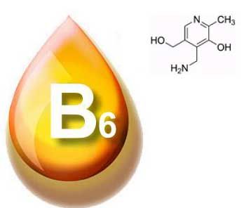비타민 B6에 대한 기본 정보